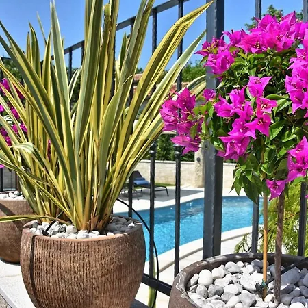 Beautiful Zita With Private Pool Villa *
